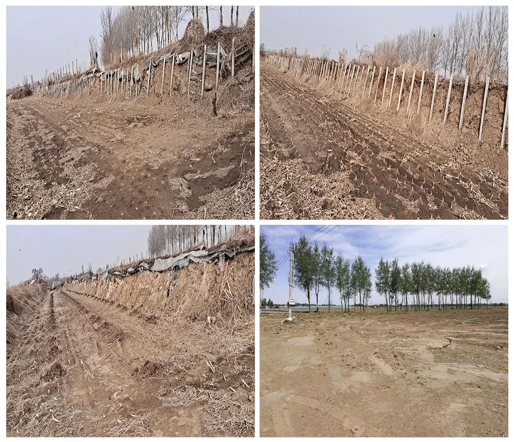 pg�ͽ�Ů��(�ٷ���)�ƽ�/����/���ֹٷ���վ