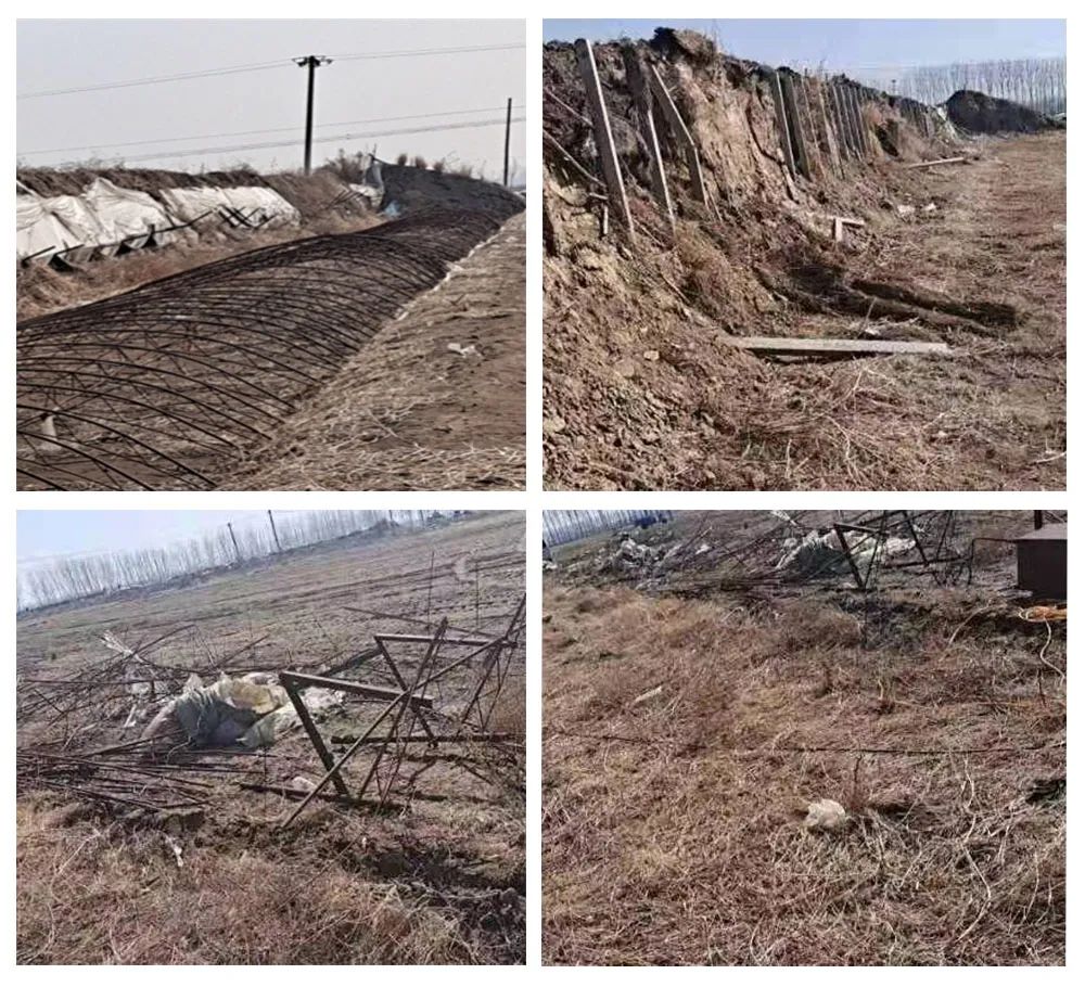 pg�ͽ�Ů��(�ٷ���)�ƽ�/����/���ֹٷ���վ