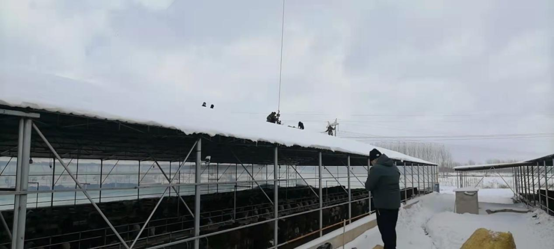 pg�ͽ�Ů��(�ٷ���)�ƽ�/����/���ֹٷ���վ