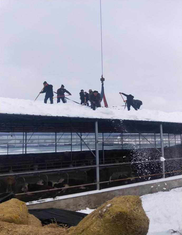 pg�ͽ�Ů��(�ٷ���)�ƽ�/����/���ֹٷ���վ