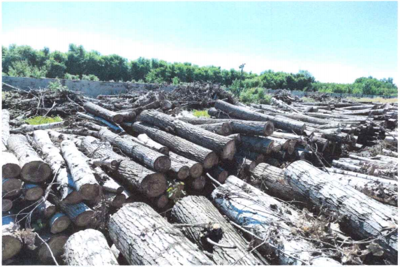 pg�ͽ�Ů��(�ٷ���)�ƽ�/����/���ֹٷ���վ