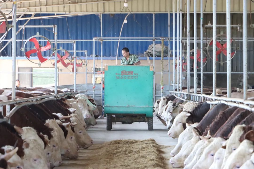 pg�ͽ�Ů��(�ٷ���)�ƽ�/����/���ֹٷ���վ