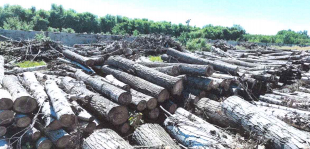 pg�ͽ�Ů��(�ٷ���)�ƽ�/����/���ֹٷ���վ