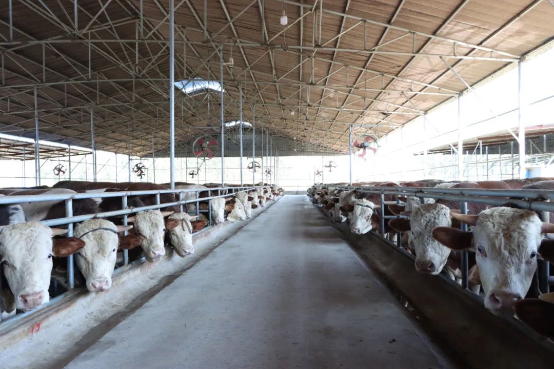 pg�ͽ�Ů��(�ٷ���)�ƽ�/����/���ֹٷ���վ