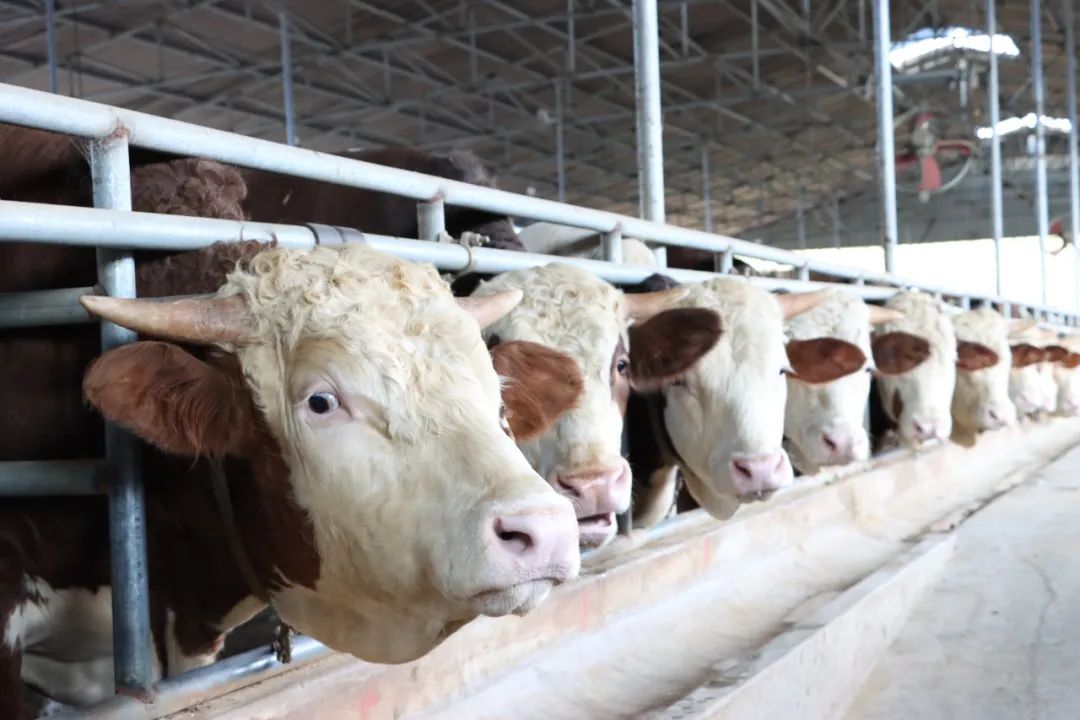 pg�ͽ�Ů��(�ٷ���)�ƽ�/����/���ֹٷ���վ