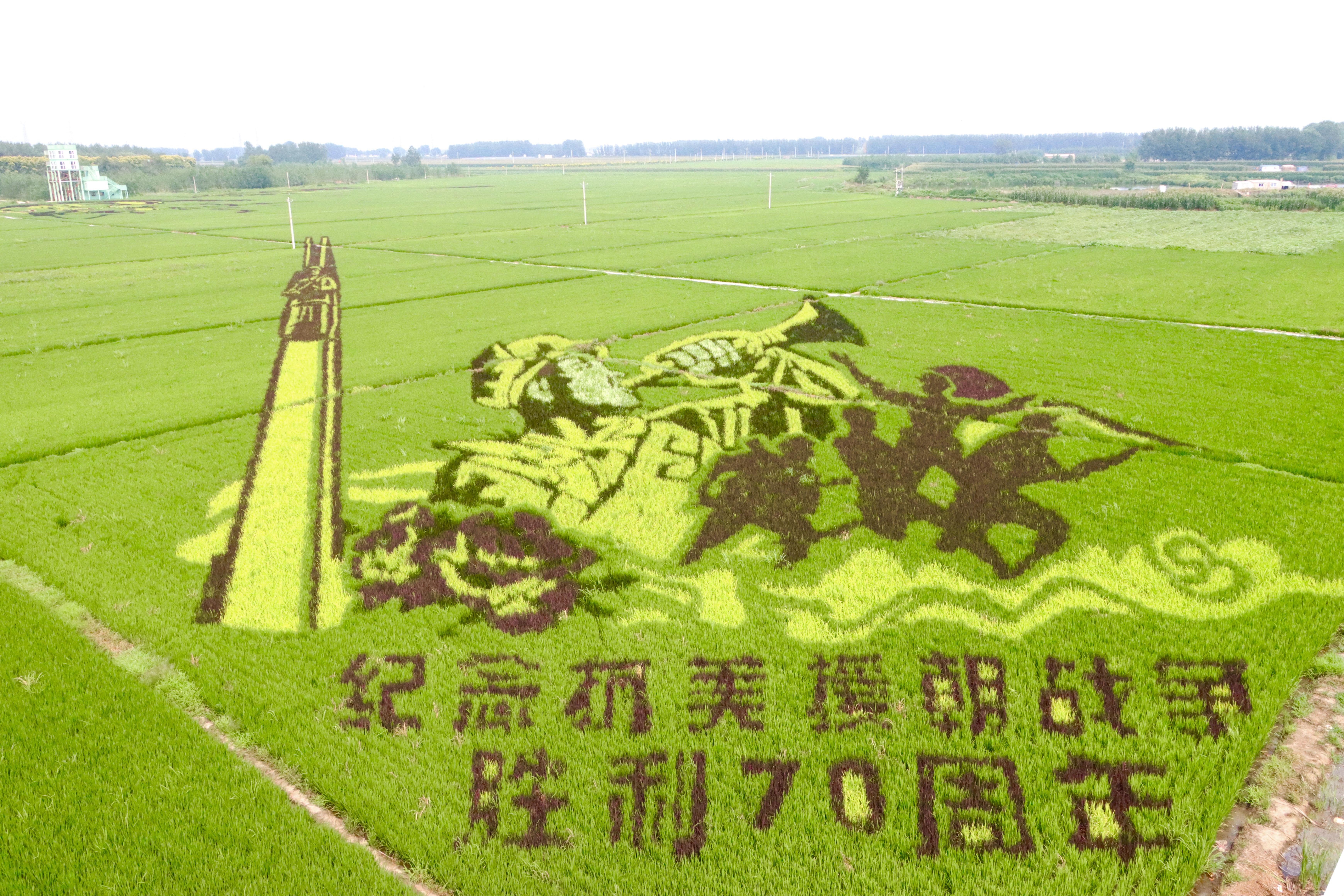 pg�ͽ�Ů��(�ٷ���)�ƽ�/����/���ֹٷ���վ