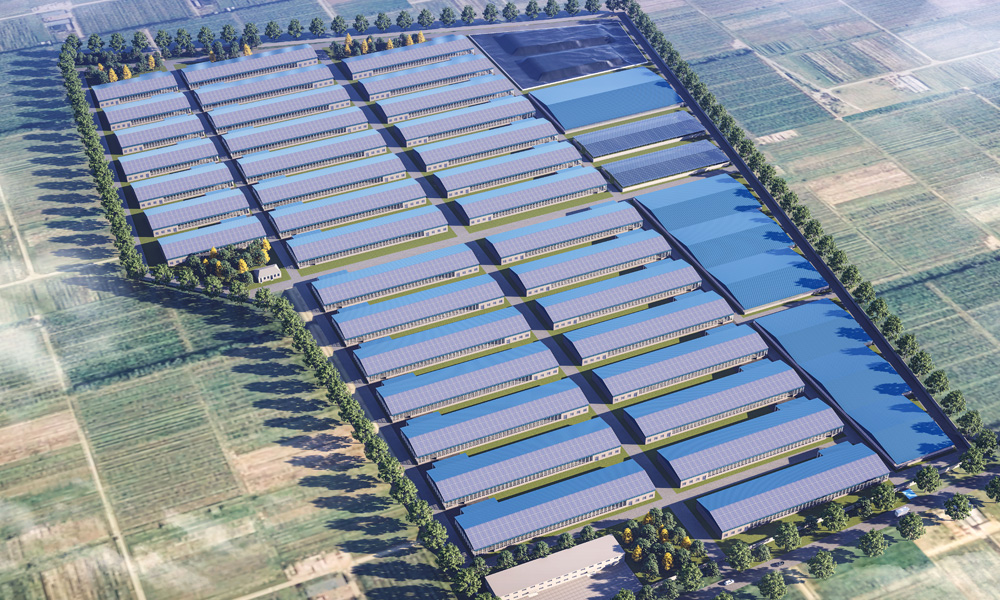 pg�ͽ�Ů��(�ٷ���)�ƽ�/����/���ֹٷ���վ